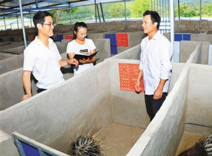 谈球吧体育赛事资讯平台